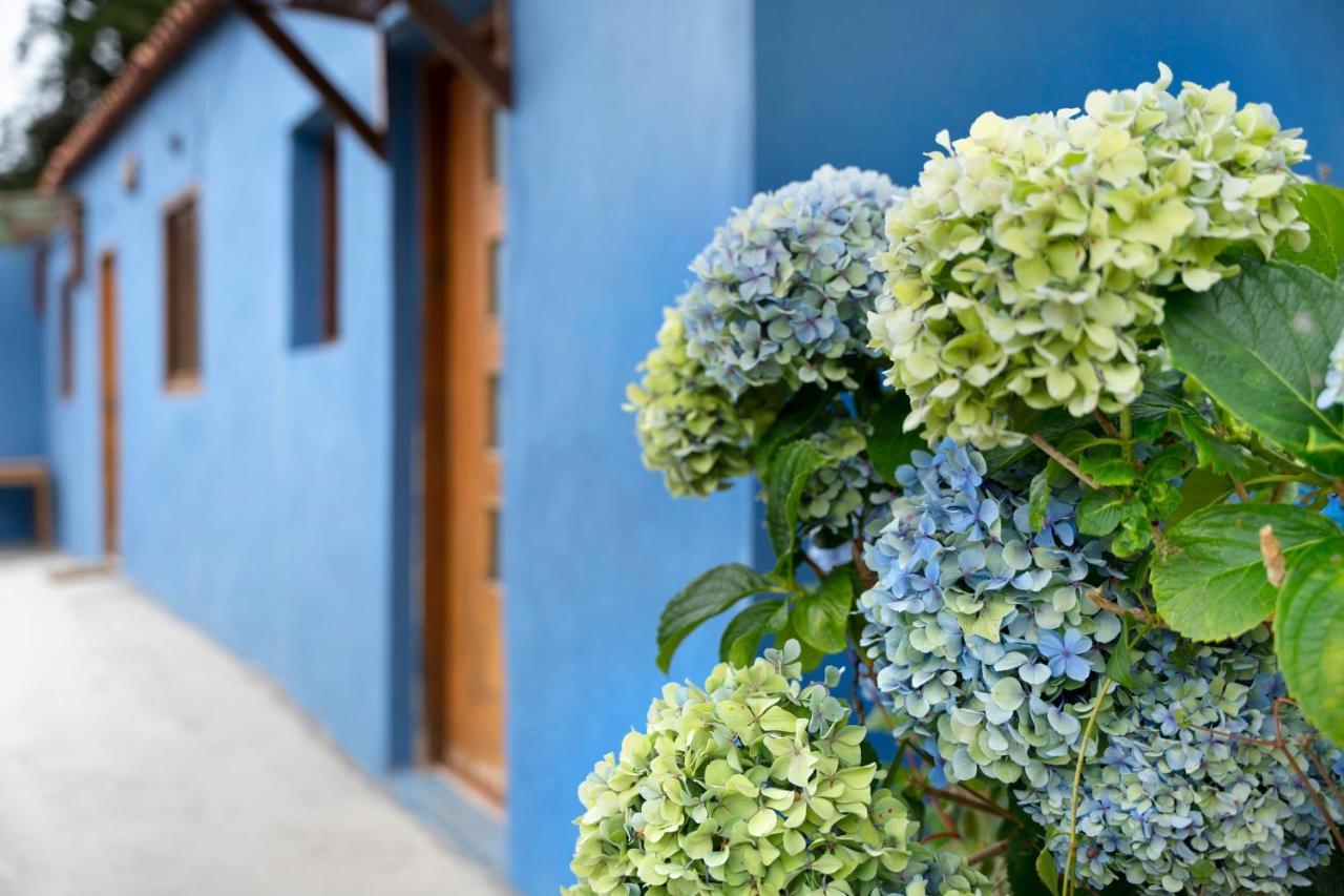 Casa Azul Del Roque Negro Villa Santa Cruz de Tenerife Buitenkant foto